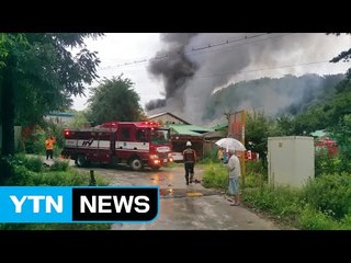 용인 돼지 사육장에 불...9백여 마리 폐사 / YTN