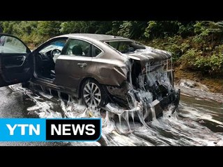 [영상] 한국으로 오려던 장어, 美 고속도로에서 최후 / YTN