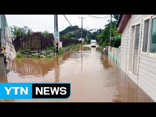 군산에 270mm 물 폭탄...주택·농경지 침수 / YTN