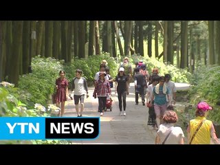 자연 휴양림 피서객 북적...폭염은 한풀꺾여 / YTN