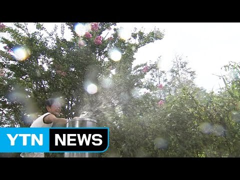 [날씨] 열기 쌓여 연일 최고 폭염...주말에 잠시 주춤 / YTN