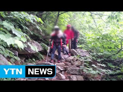 폭우 예보에도 무리한 산행...고립·조난 사고 속출 / YTN