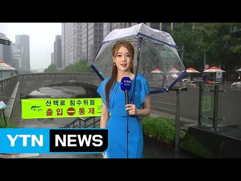 [날씨] 전국에 장맛비...중부 국지성 호우 / YTN