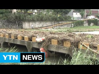 세종·충남 일부 호우주의보...비 피해 잇따라 / YTN