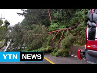 강원, 한 시간에 50mm '물 폭탄'...추가 비 피해 우려 / YTN