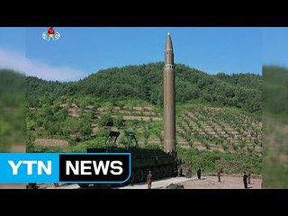 '新 베를린 선언' 앞두고 비상걸린 韓 주도 대북정책 / YTN