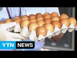 태국산 달걀 검역·위생점검...이달 말 유통 / YTN