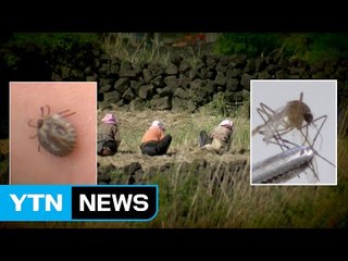 여름철 진드기·모기 감염병 조심하세요! / YTN