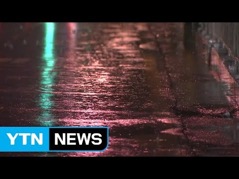 충청 북부 지역 호우 특보...시간당 20㎜ 호우 / YTN