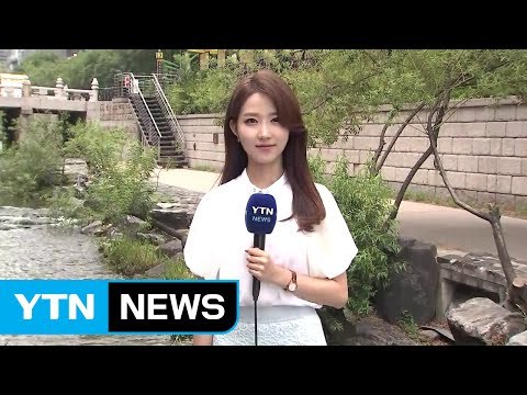 [날씨] 오늘도 후텁지근...충청 이남 장맛비 / YTN