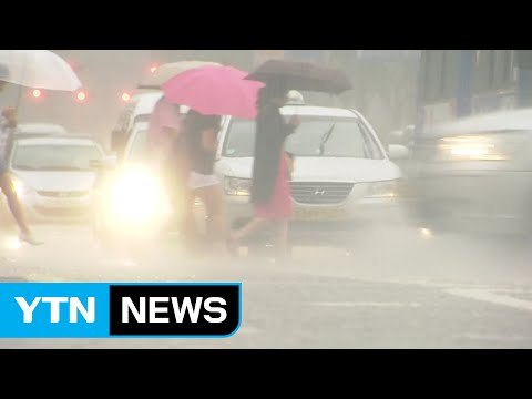[날씨] 내일 전국 장맛비...시작부터 중부 200mm 호우 / YTN