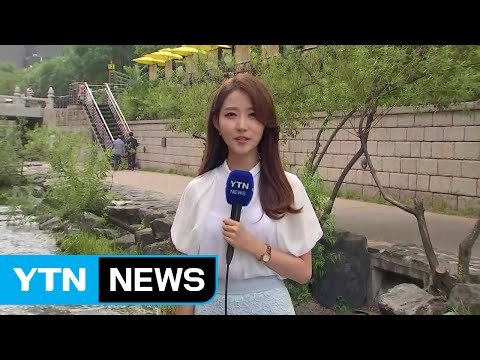 [날씨] 내일 전국 장맛비...중부 중심 많은 비 / YTN