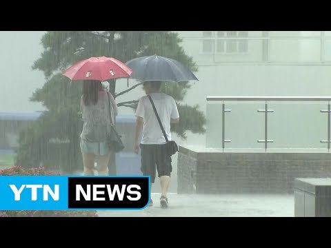 [날씨] 퇴근길 곳곳 게릴라성 호우...광주 호우경보, 서울 호우주의보 / YTN