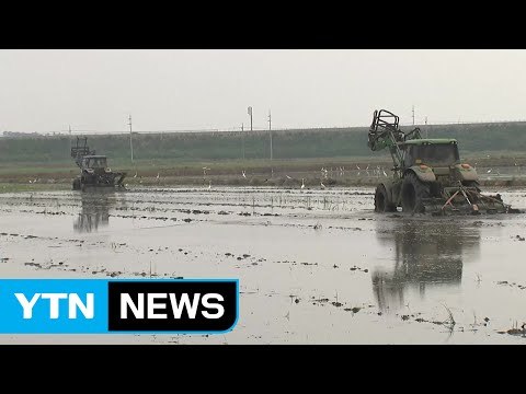 산발적인 소나기...가뭄 해갈에는 역부족 / YTN