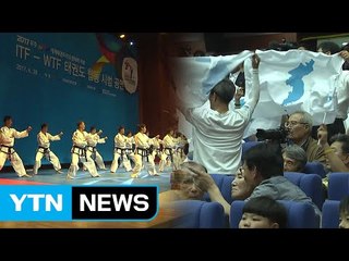 한반도기 나부낀 북한 태권도 시범장 / YTN