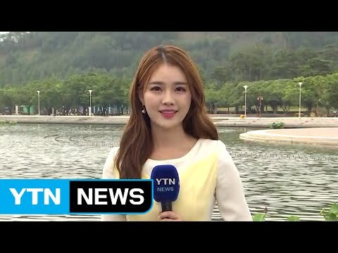 [날씨] 오늘도 곳곳 기습 소나기...더위는 주춤 / YTN