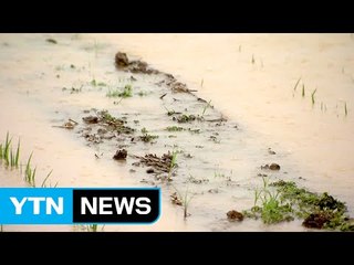 갑작스런 폭우...인명피해 잇따라 / YTN