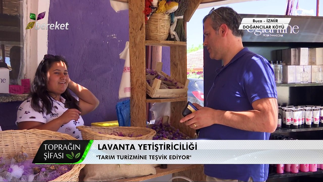 Toprağın Şifası - 6. Bölüm, Lavanta Yetiştiriciliği 1