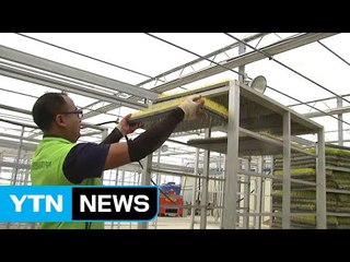 극심한 가뭄 속에도 '희망 버리지 않는 농심' / YTN