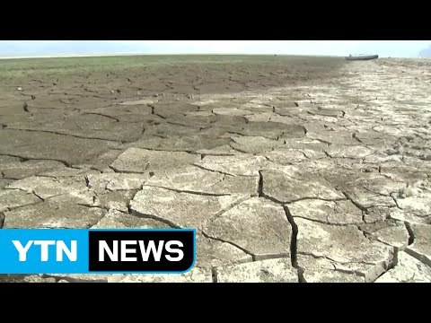 가뭄 극심 충남 서북부에 단비 '찔금'...농민들 '허탈' / YTN