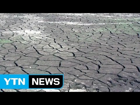 가뭄 극심 충남 서북부에 단비 '찔금'...농민들 '허탈' / YTN