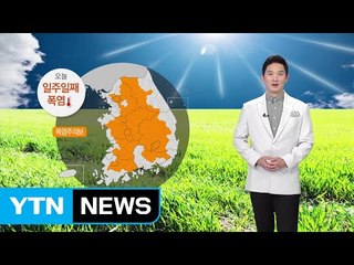 [날씨] 아침 곳곳 짙은 안개...일주일째 폭염 기승 / YTN