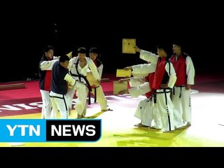 태권도로 잇는 남북교류...평창올림픽 기대감 쑥쑥 / YTN