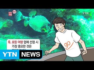 호핑 여행 업체 선정 시 가장 중요한 것은 무엇? / YTN