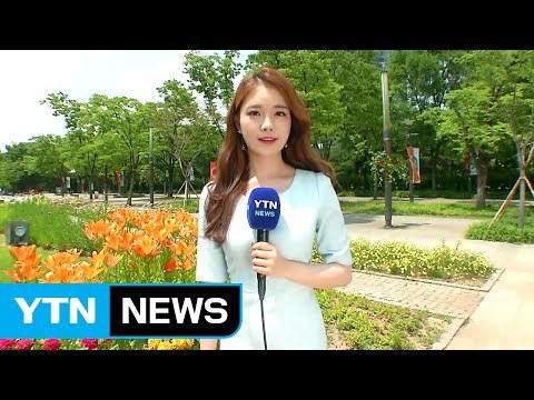 [날씨] 폭염 맹위...주말 제주 장마, 내륙 소나기 / YTN