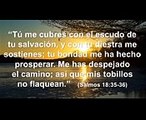 Promesas de la Biblia #38 - ¡Versículos de protección 2! -