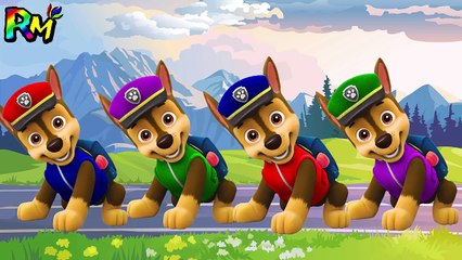 Learn Colors PAW Patrol CHASE Wrong Colors Hat The Alphabet Song Nursery Rhymes for kids fun-5juYtVHLIso