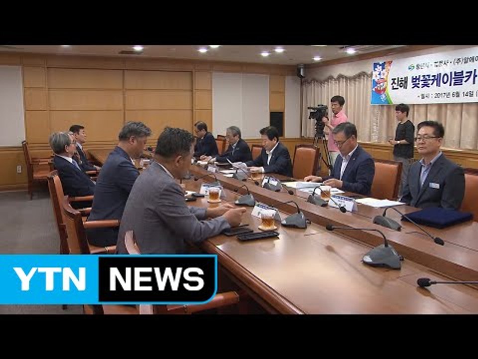 벚꽃 명소 진해 장복산에 케이블카 설치 / YTN
