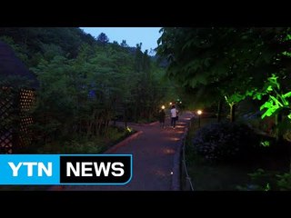 [영상] 숲 속에 펼쳐진 빛의 정원 / YTN