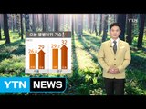 [날씨] 오늘 불볕더위 기승...자외선·오존 주의 / YTN