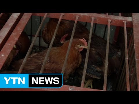 당정 AI 전담 조직 신설 등 관련 법률 개정 / YTN