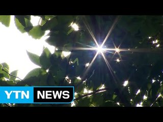 [날씨] 폭염 속 곳곳 오존 특보...주말에도 불볕더위 / YTN