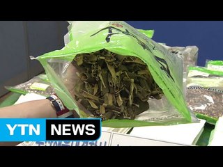 딸 면허로 10년 넘게 한약사 행세...독성 약재도 처방 / YTN