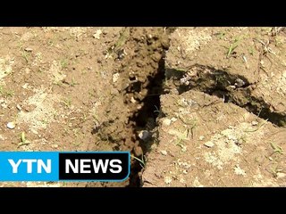 계속된 가뭄 '마른 장마'도 예보...가뭄 피해 커져 / YTN