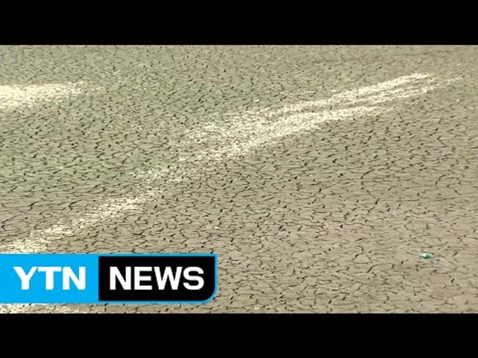 바닥 드러낸 저수지 가뭄에 '쩍쩍' / YTN