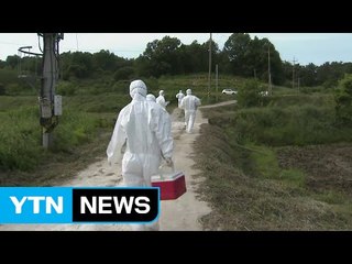 경남 고성서 잇따라 AI...중간유통상인 재조사 / YTN