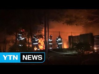 서울 버섯 재배 비닐하우스에서 불 / YTN