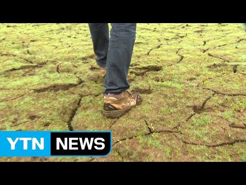 천금같은 단비, 가뭄 해갈에는 역부족 / YTN