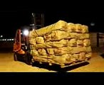 Erdbeben IrakIran Türkei schickt 50 LKWs mit Hilfsgütern in den Nordirak