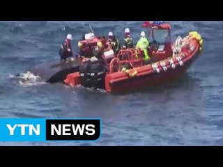 구조 北 선원 2명 "남한 남겠다"...남북 관계 악재되나 / YTN