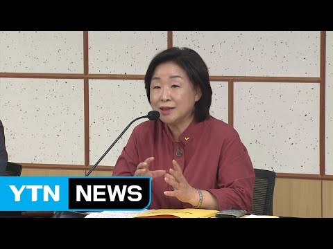 심상정, 차기 당 대표 불출마 선언 / YTN