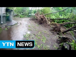 모스크바에 강력한 돌풍..."최소 140여 명 사상" / YTN