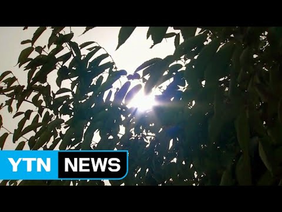 [날씨] 단오 더위 맹위...부산·광주도 폭염 특보 / YTN