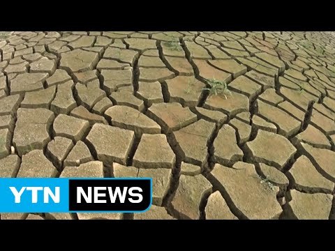 심해지는 가뭄, 단비 소식 언제? / YTN