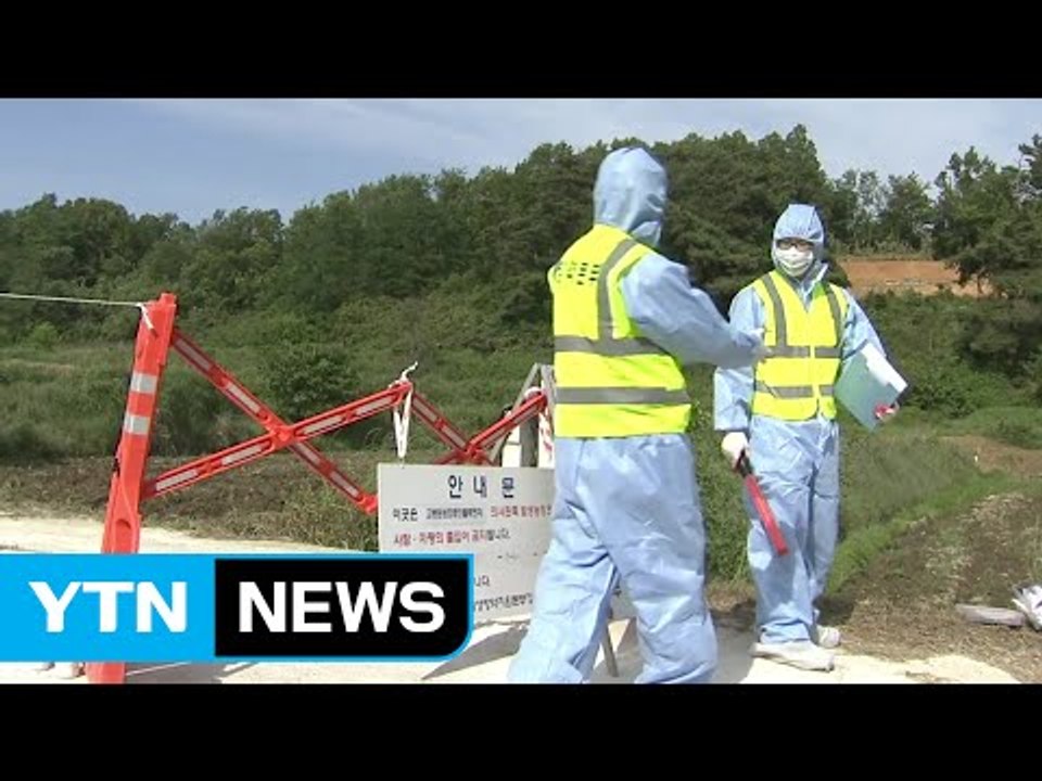 군산이 AI 발원지?...전국 확산 '비상' / YTN