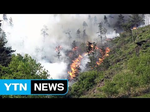 최악 가뭄에 입산자 실수까지...여름 산불 비상 / YTN